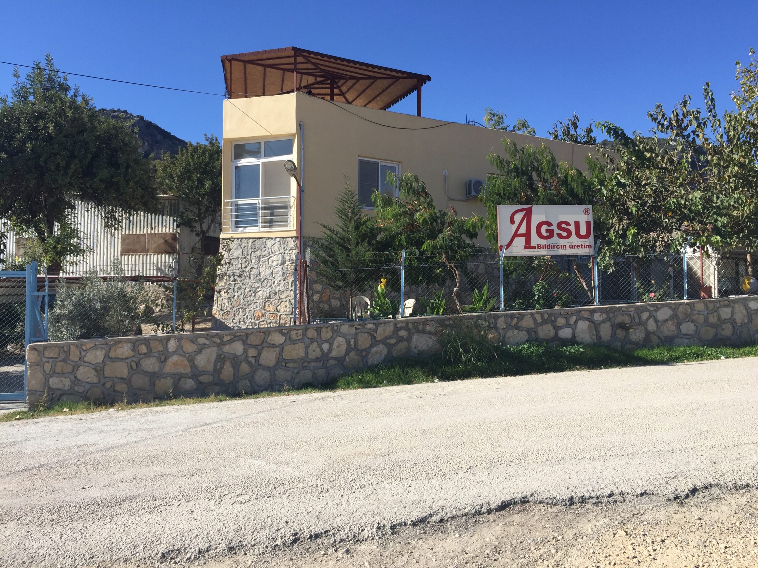 Agsu Bıldırcın Çiftliği